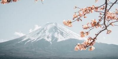 IKIGAI – Den eigenen Lebenssinn finden